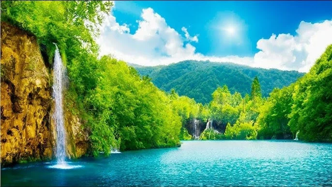 热带雨林瀑布自然纪录片封面